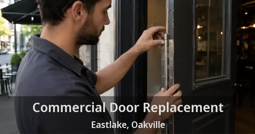 Commercial Door Replacement Eastlake, Oakville - ON