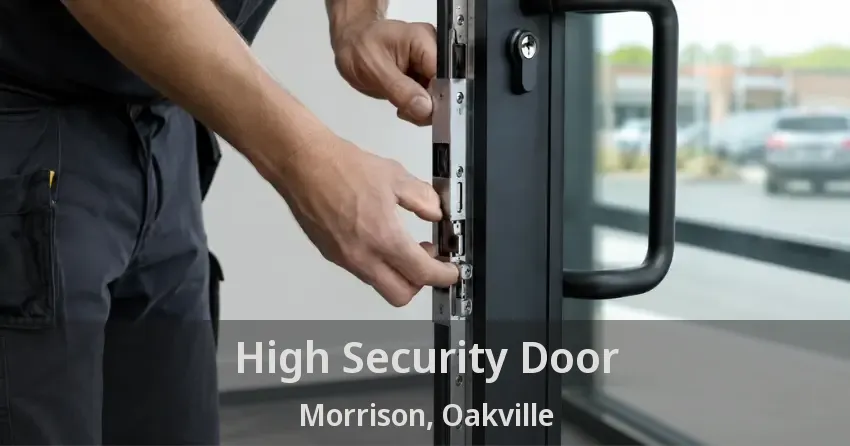 High Security Door Morrison, Oakville - ON