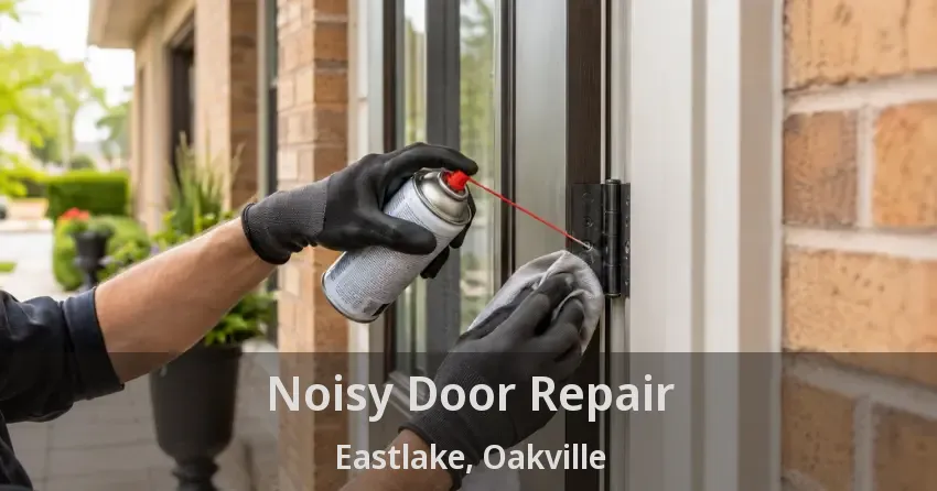 Noisy Door Repair Eastlake, Oakville - ON