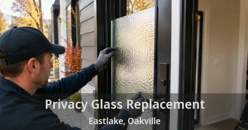 Privacy Glass Replacement Eastlake, Oakville - ON